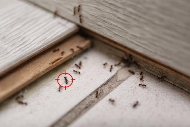 Best Pest Inspection Near Me  in Girard, KS