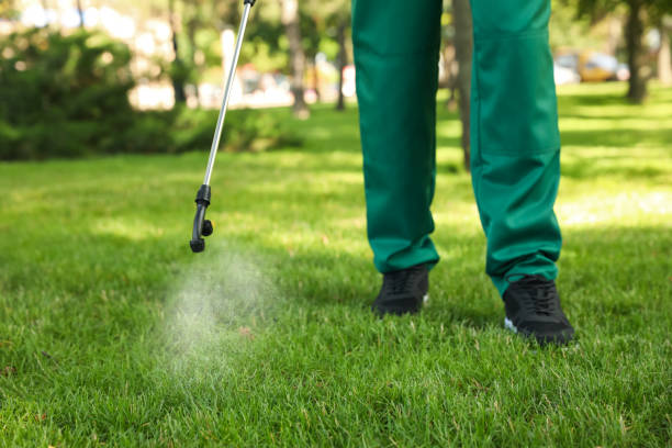 Best Local Pest Control Services  in Girard, KS