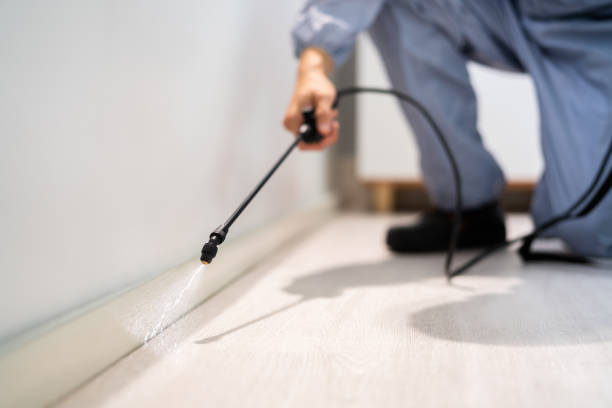 Professional Pest Control in Girard, KS