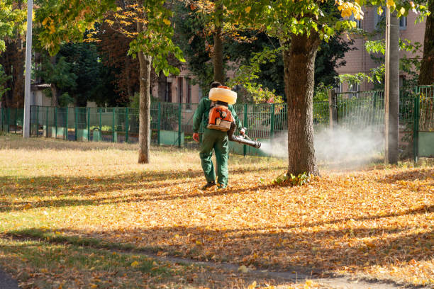 Best Residential Pest Control  in Girard, KS
