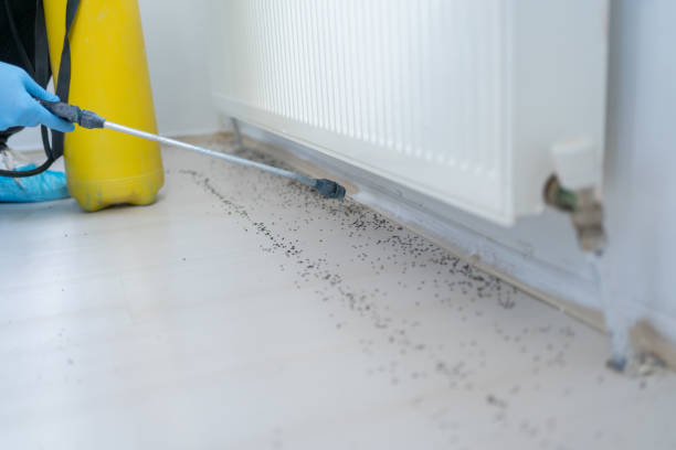 Best Pest Inspection Near Me  in Girard, KS
