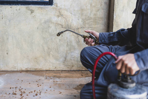 Best Pest Control Treatment  in Girard, KS